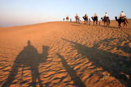 Rajasthan Wildlife Tour ( 15 Days)